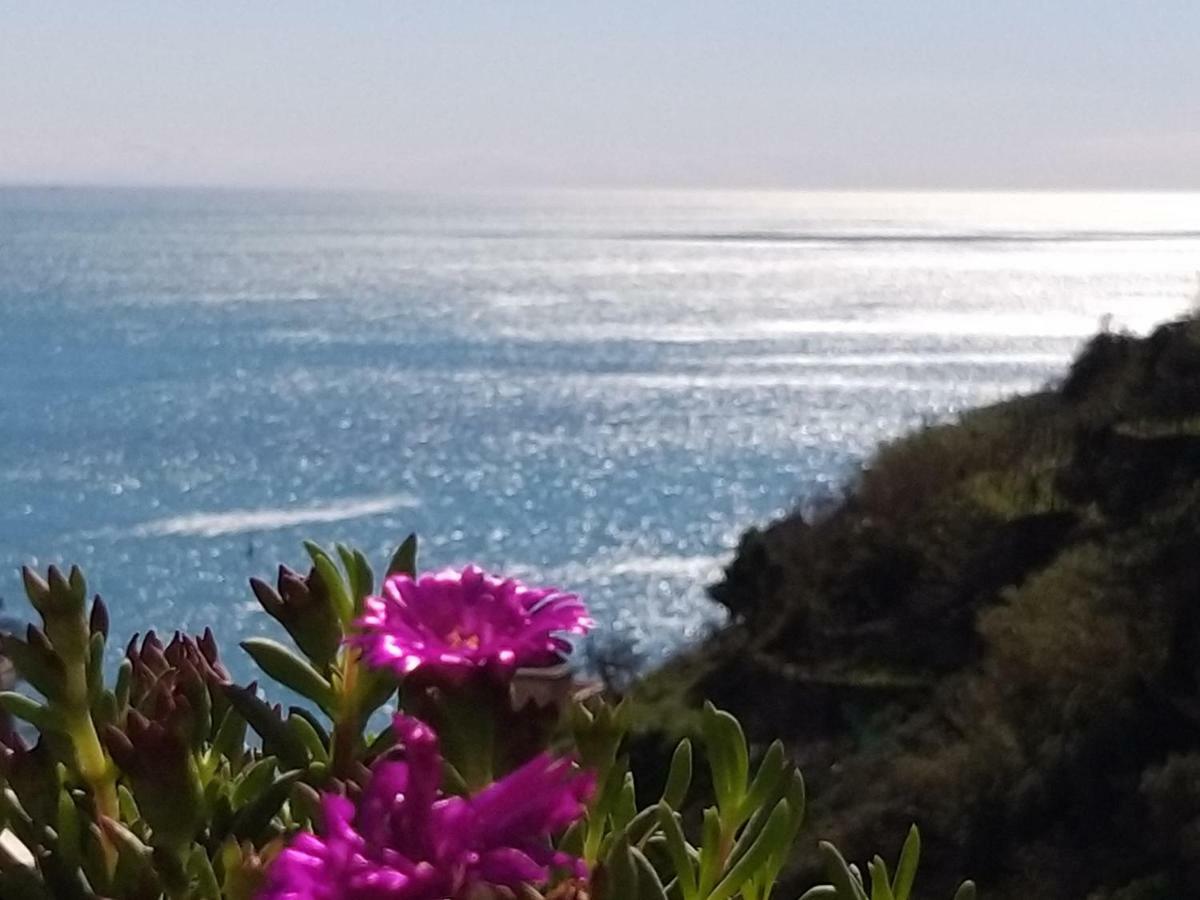 Suite Riomaggiore Kültér fotó